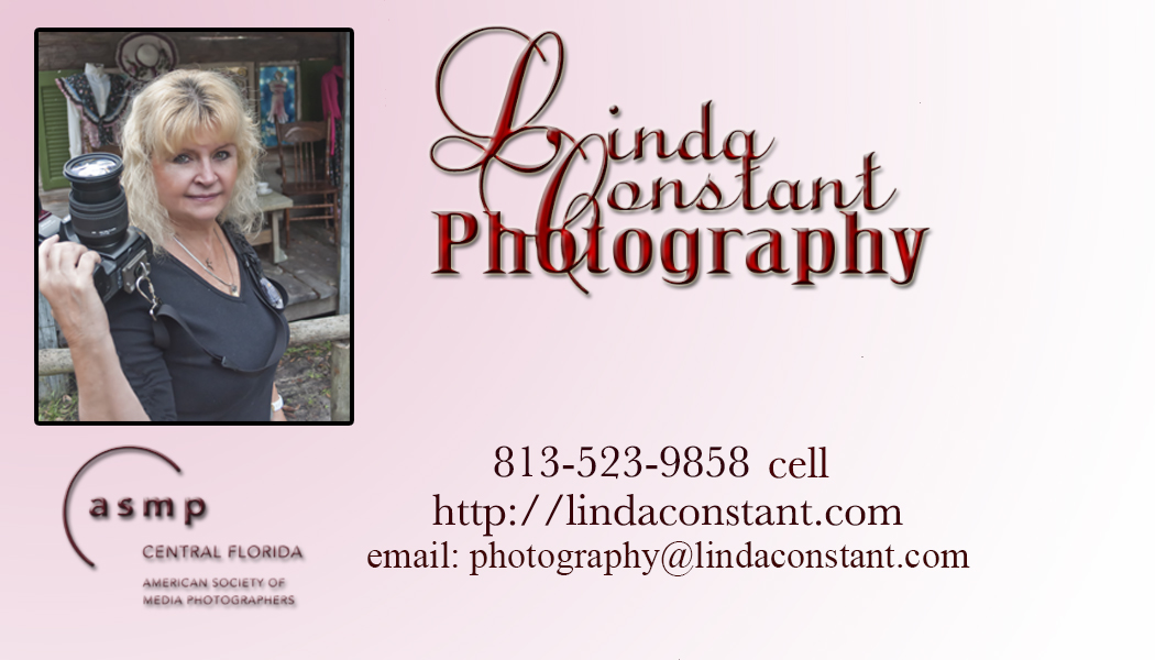 Linda Constant - Artist Website